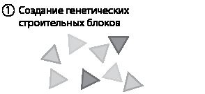 Иллюстрация к книге — Эволюция. От Дарвина до современных теорий [i_007.jpg]
