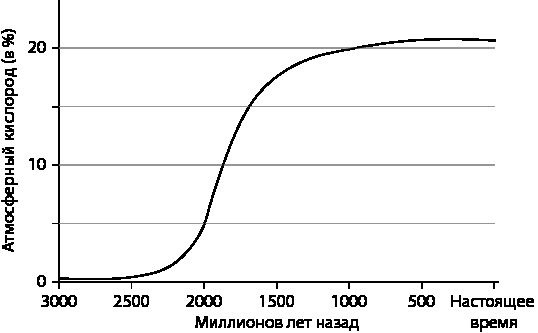 Иллюстрация к книге — Эволюция. От Дарвина до современных теорий [i_014.jpg]