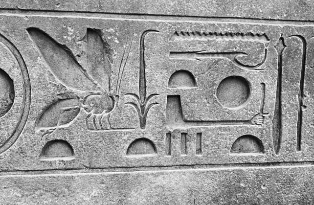 Иллюстрация к книге — Кровососы [i_005.jpg]