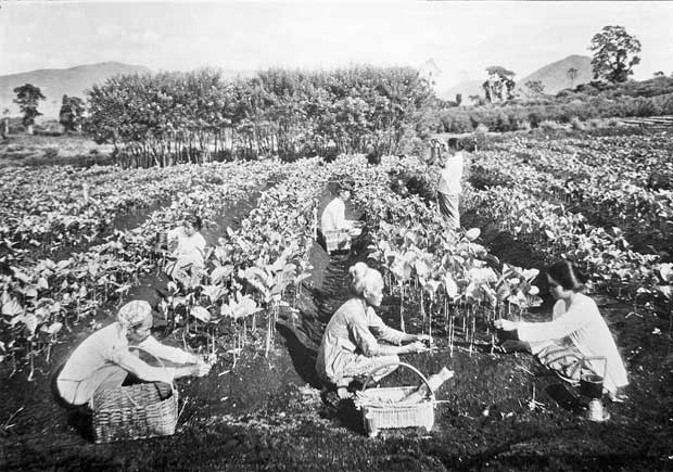 Иллюстрация к книге — Кровососы [i_008.jpg]