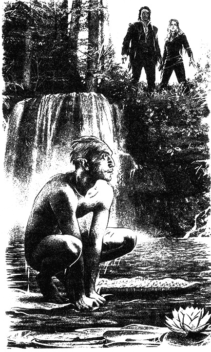 Иллюстрация к книге — Дорогами нечисти [i_001.jpg]