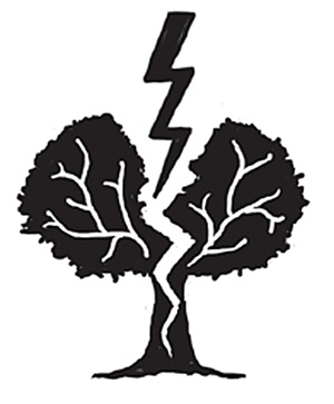 Иллюстрация к книге — Арчи Грин и переписанная магия [i_001.jpg]