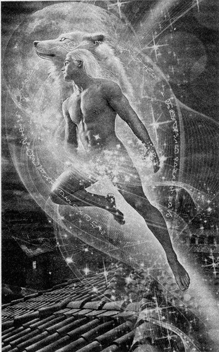 Иллюстрация к книге — Попаданство со скидкой [i_001.jpg]