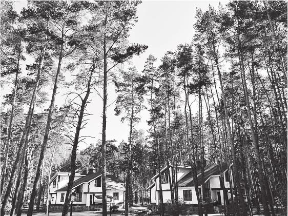 Иллюстрация к книге — Продвижение личных блогов в Инстаграм [i_021.jpg]