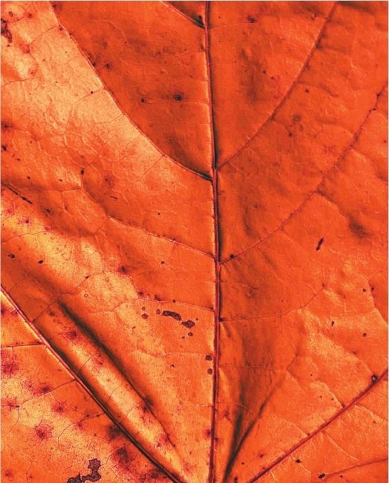 Иллюстрация к книге — Продвижение личных блогов в Инстаграм [i_023.jpg]