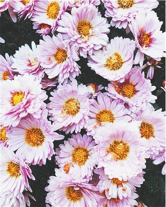 Иллюстрация к книге — Продвижение личных блогов в Инстаграм [i_032.jpg]