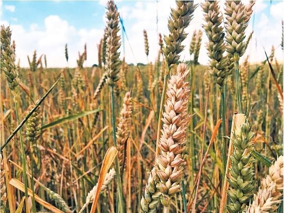 Иллюстрация к книге — Продвижение личных блогов в Инстаграм [i_037.jpg]