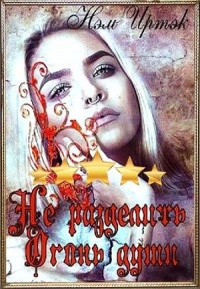 Книга Не разделить огонь души