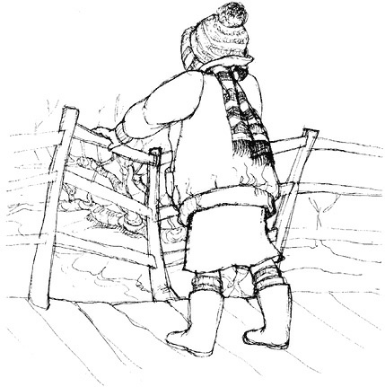 Иллюстрация к книге — Сара. Путешествие ребенка в мир безграничной радости (сборник) [i_005.jpg]