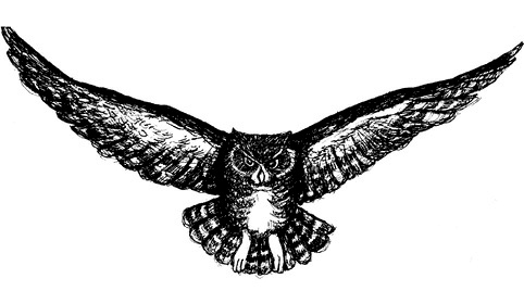 Иллюстрация к книге — Сара. Путешествие ребенка в мир безграничной радости (сборник) [i_009.jpg]