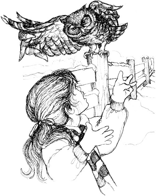 Иллюстрация к книге — Сара. Путешествие ребенка в мир безграничной радости (сборник) [i_021.jpg]