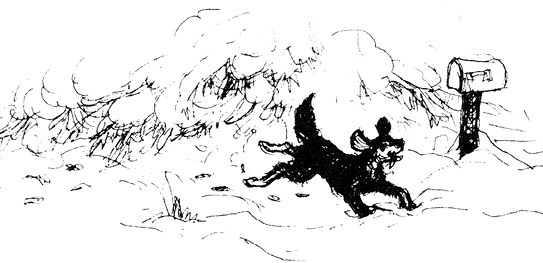 Иллюстрация к книге — Сара. Путешествие ребенка в мир безграничной радости (сборник) [i_022.jpg]