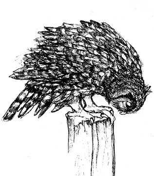 Иллюстрация к книге — Сара. Путешествие ребенка в мир безграничной радости (сборник) [i_027.jpg]