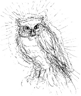 Иллюстрация к книге — Сара. Путешествие ребенка в мир безграничной радости (сборник) [i_045.jpg]