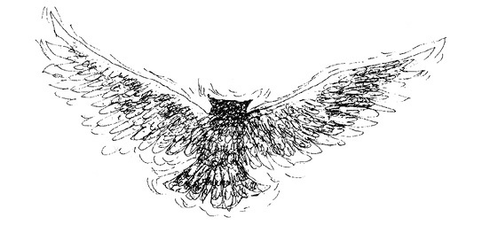 Иллюстрация к книге — Сара. Путешествие ребенка в мир безграничной радости (сборник) [i_049.jpg]