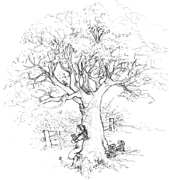 Иллюстрация к книге — Сара. Путешествие ребенка в мир безграничной радости (сборник) [i_052.jpg]