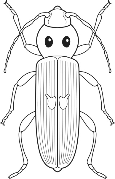 Иллюстрация к книге — Сделай сам. Все виды работ для домашнего мастера [i_003.jpg]