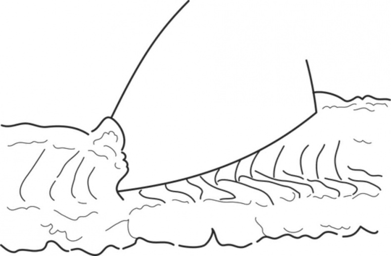 Иллюстрация к книге — Сделай сам. Все виды работ для домашнего мастера [i_061.jpg]