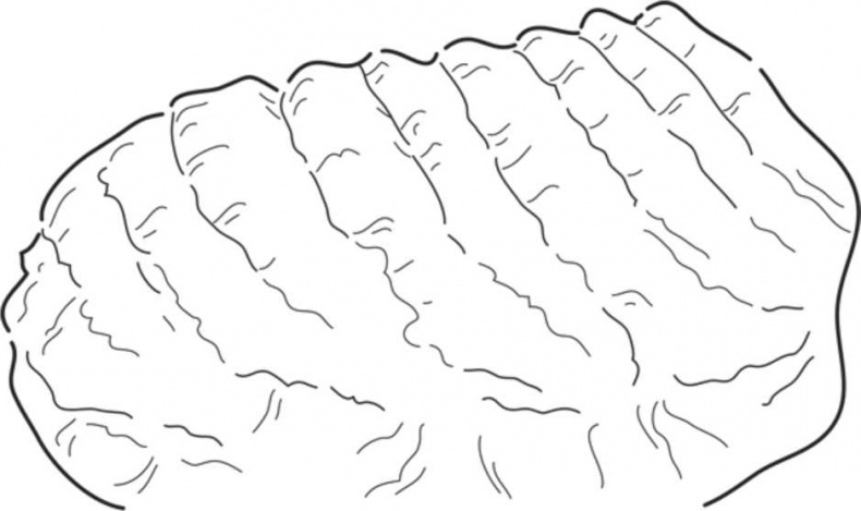 Иллюстрация к книге — Сделай сам. Все виды работ для домашнего мастера [i_069.jpg]