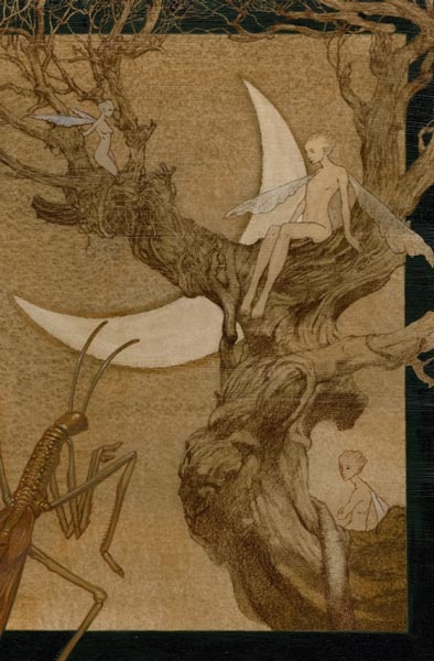 Иллюстрация к книге — Лабиринт Фавна [i_013.jpg]