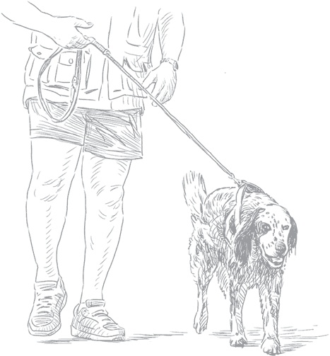 Иллюстрация к книге — Душа собаки. Как и почему ваша собака вас любит [i_001.jpg]