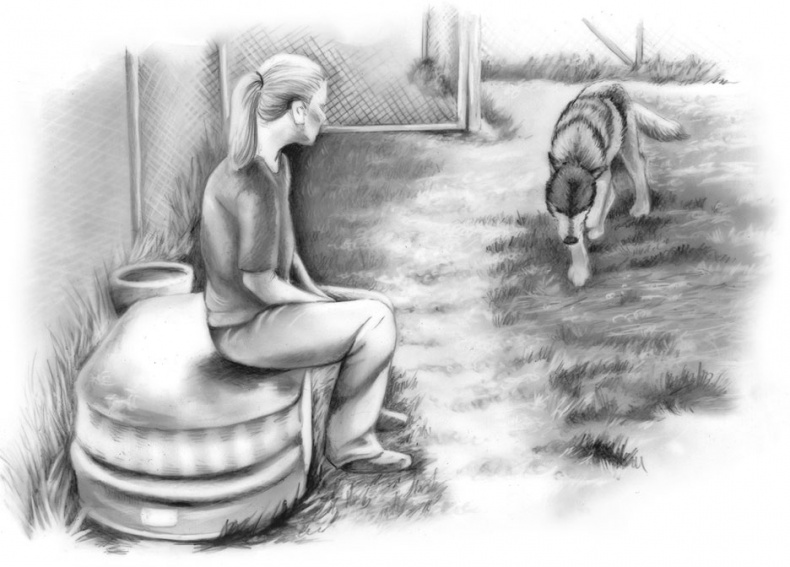 Иллюстрация к книге — Душа собаки. Как и почему ваша собака вас любит [i_007.jpg]