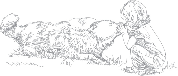 Иллюстрация к книге — Душа собаки. Как и почему ваша собака вас любит [i_010.jpg]