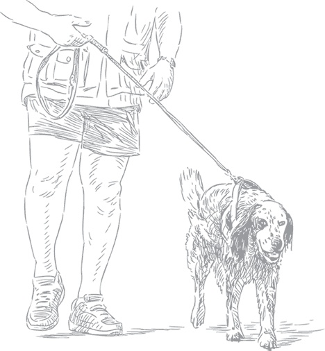 Иллюстрация к книге — Душа собаки. Как и почему ваша собака вас любит [i_018.jpg]