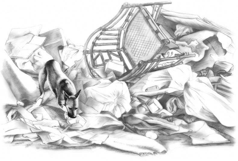 Иллюстрация к книге — Душа собаки. Как и почему ваша собака вас любит [i_019.jpg]