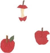 Иллюстрация к книге — Монтессори для малышей [i_051.jpg]