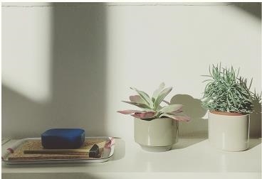 Иллюстрация к книге — Монтессори для малышей [i_110.jpg]