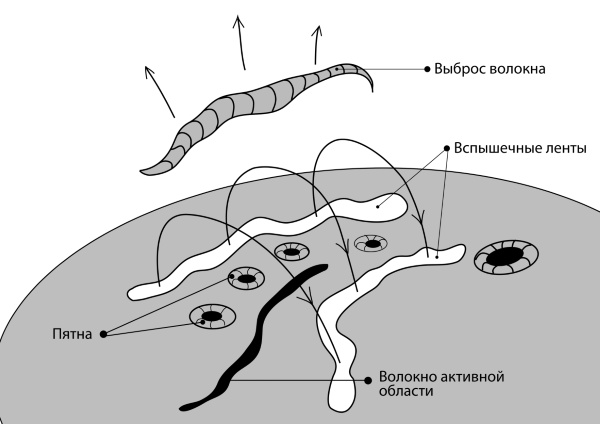 Иллюстрация к книге — Лекции о Солнце [i_019.jpg]