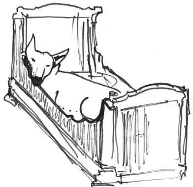 Иллюстрация к книге — Дневник обезьянки (1957-1982) [i_042.jpg]