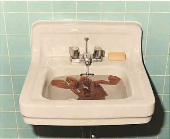 Иллюстрация к книге — Фотография как современное искусство [i_033.jpg]