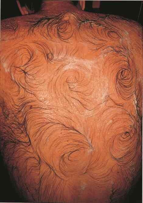 Иллюстрация к книге — Фотография как современное искусство [i_034.jpg]