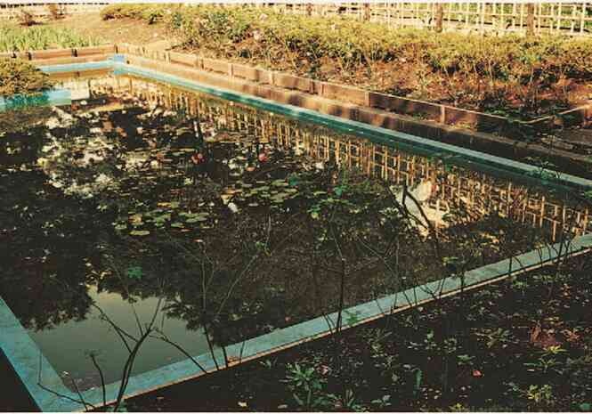 Иллюстрация к книге — Фотография как современное искусство [i_095.jpg]