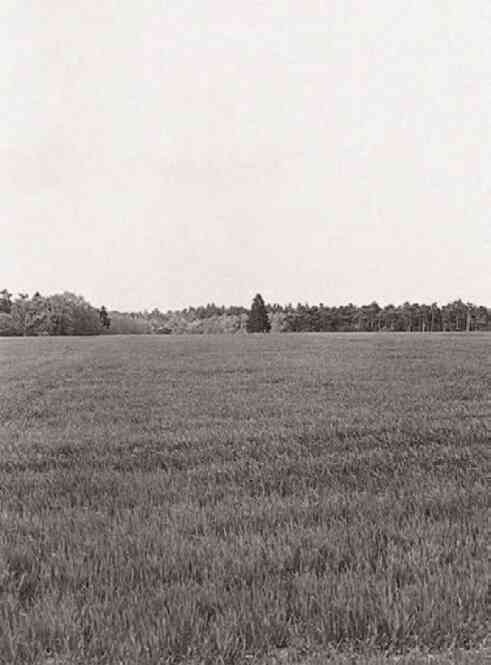 Иллюстрация к книге — Фотография как современное искусство [i_101.jpg]