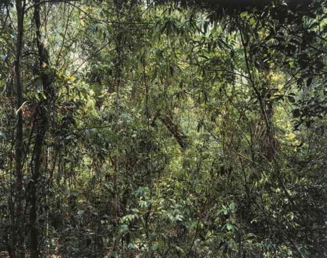 Иллюстрация к книге — Фотография как современное искусство [i_102.jpg]