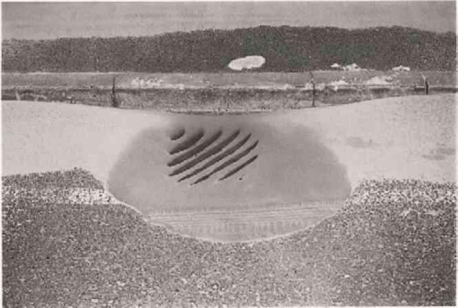 Иллюстрация к книге — Фотография как современное искусство [i_116.jpg]