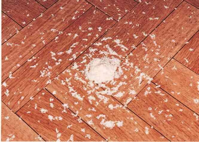 Иллюстрация к книге — Фотография как современное искусство [i_123.jpg]