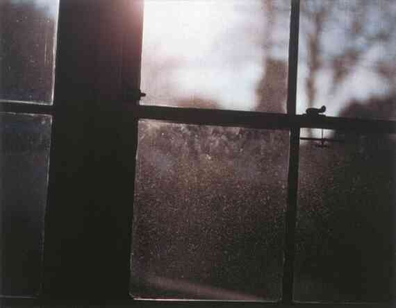 Иллюстрация к книге — Фотография как современное искусство [i_130.jpg]