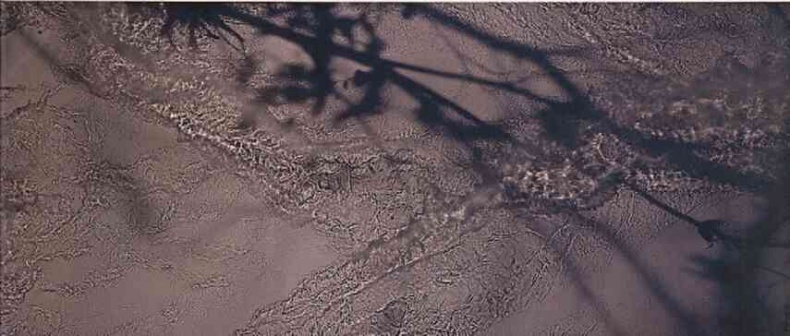 Иллюстрация к книге — Фотография как современное искусство [i_207.jpg]