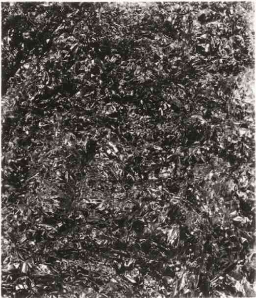 Иллюстрация к книге — Фотография как современное искусство [i_222.jpg]