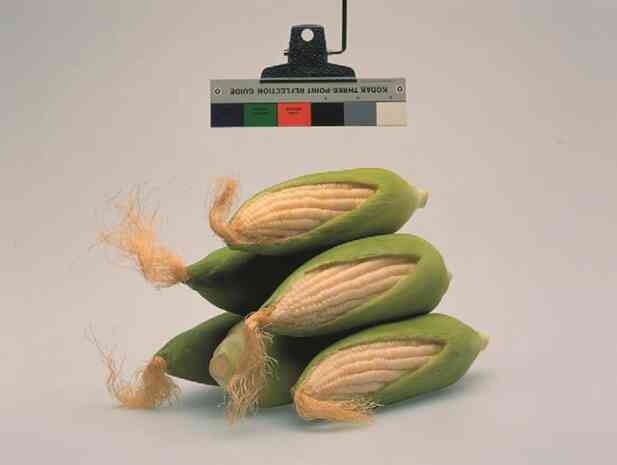 Иллюстрация к книге — Фотография как современное искусство [i_224.jpg]