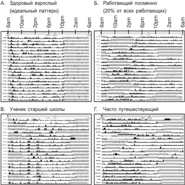 Иллюстрация к книге — Циркадный код. Как настроить свои биологические часы на здоровую жизнь [i_006.jpg]