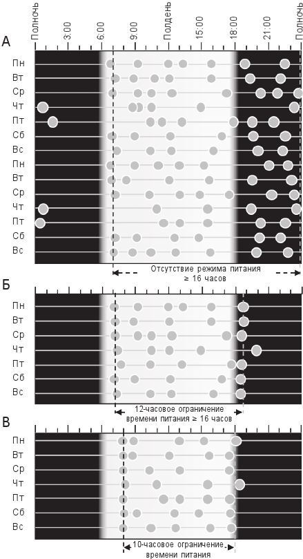 Иллюстрация к книге — Циркадный код. Как настроить свои биологические часы на здоровую жизнь [i_010.jpg]