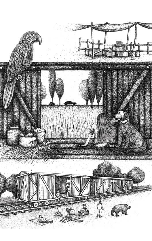 Иллюстрация к книге — Это просто цирк какой-то! [i_005.jpg]