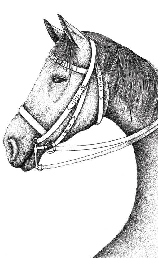 Иллюстрация к книге — Это просто цирк какой-то! [i_007.jpg]