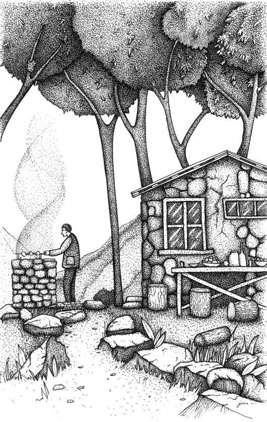 Иллюстрация к книге — Это просто цирк какой-то! [i_009.jpg]