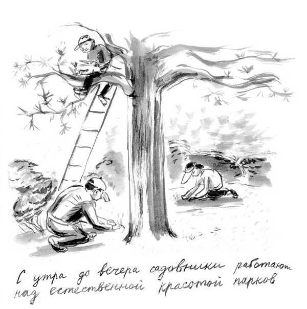 Иллюстрация к книге — Изголовье из травы [i_016.jpg]